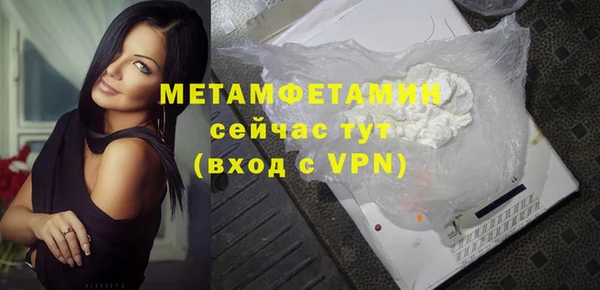 прущие грибы Переславль-Залесский