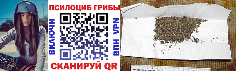 Галлюциногенные грибы прущие грибы  Усть-Джегута 