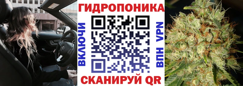 Марихуана конопля наркошоп Усть-Джегута